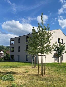 Traumwohnung in modernem Ambiente! - Sasbach