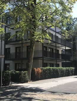 3 Zimmer Penthouse - Moderne Neubau-Wohnungen direkt am Wald - Dreieich Buchschlag - Dreieich