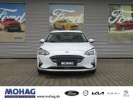 Ford Focus, 1.0 l EcoBoost Cool & Connect EU6d, Jahr 2020 - Recklinghausen