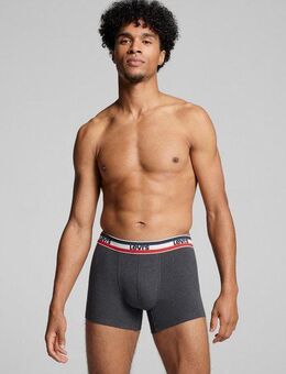 Levi's® Boxershorts LEVIS MEN SPW LOGO BOXER BRIEF ORG 2P (Packung, 2er Pack) mit breitem Logobund
