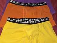 Unterwäsche,Badehosen,Shorts Gr.L/XL - Gladbeck