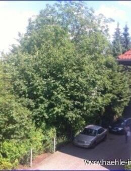 1 Zimmer Wohnung mit Balkon u. EBK - frei ab dem 01.01.26 - Dresden