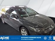 VW Golf Variant, 1.5 TSI Golf 8 Life OPF, Jahr 2022 - Blomberg (Nordrhein-Westfalen)