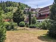 Mehrzweckimmobilie - Bad Rippoldsau-Schapbach
