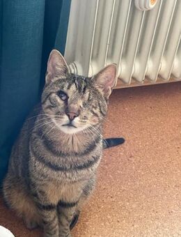 Zuhause gesucht für Nuri&Xena - Miesbach