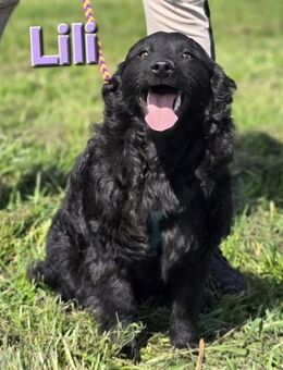 ❤️ Lilli - Kissing