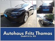 VW Golf, 2.0 TDI VIII Life, Jahr 2023 - Celle