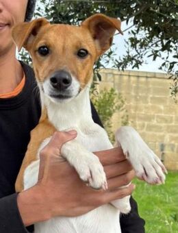 Kleine Sarah sucht ihr Glück - Berlin