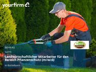 Landwirtschaftlicher Mitarbeiter für den Bereich Pflanzenschutz (m/w/d) - Büttelborn