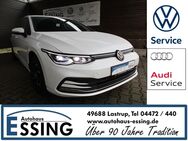 VW Golf, 2.0 TDI Life, Jahr 2023 - Lastrup