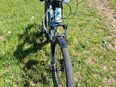 Herren E Bike in 35080