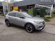 Opel Grandland X Elegance 1.2 Start/Stop - Eschweiler