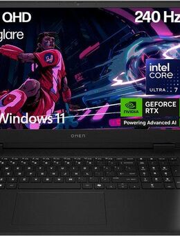 HP OMEN 17-db1091ng Gaming-Notebook (43,9 cm/17,3 Zoll, Intel Core Ultra 7 255H, GeForce RTX 5060, 1000 GB SSD)