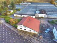 Vielseitiges Wohn- und Geschäftshaus in Hagenbach: 400 m² Gesamtfläche für Wohnen und Arbeiten - Hagenbach