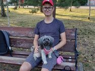 43 Jähriger Mann sucht eine Frau zum Verlieben - Berlin