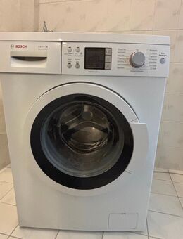Bosch Waschmaschine EcoSilenceDrive 220EUR VB - Frankfurt (Main)