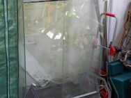 Terrarium für Selbstabholer zu verschenken - Wörrstadt Wörrstadt