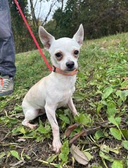 TIMMI - so viel Neues erleben - Overath