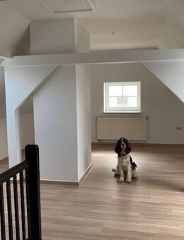 +++"Begrenzte Chance"-Stylische Dachgeschosswohnung +++ - Lengenfeld