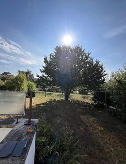 Haus in Blankenburg (Harz) - Blankenburg (Harz)