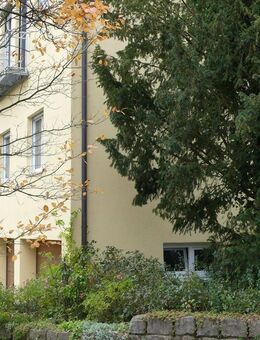 Helles 1 Zi. App. mit Einbauküche in Roßtal-Buchschwabach - Roßtal