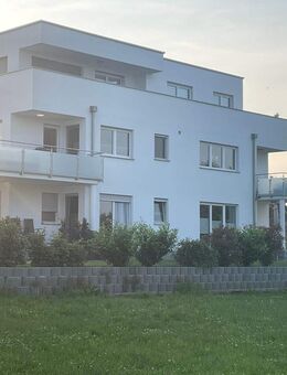 Modernes und wertiges Penthouse in kompakten Mehrfamilienhaus inkl. Garage und großer Dachterrasse - Unterschneidheim