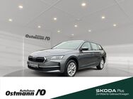 Skoda Octavia, Combi Selection 110kw TDI, Jahr 2024 - Niestetal