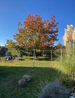 W O H N E N in bester Lage von GRIMMA - Grimma