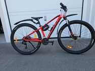 Verkaufe ein Fahrrad der Marke SCOTT 29Zoll 16Gang Aluminium Rahmen Scheibenbremse - Roding Zentrum