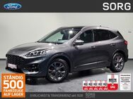 Ford Kuga, 1.5 EcoBoost ST-Line X, Jahr 2024 - Fulda