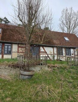 Große Doppelhaushälfte mit Potenzial - Lindholz