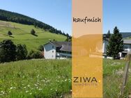 Einzugsfertig und tip top hergerichtet, alles! neu! gemacht, hell und freundlich. - Todtnau