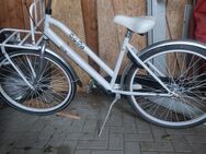 Fahrrad Holländer-Rad 26 Zoll - Calden