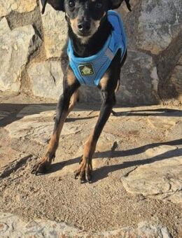 Frida braucht Liebe - Berlin