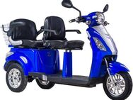 ZTECH Elektromobil ZT-18, 2000 W, 25 km/h
