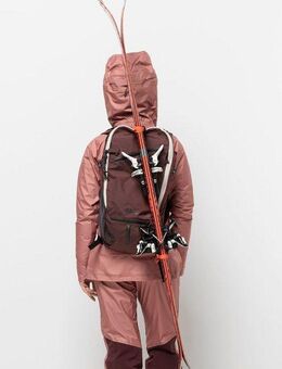 Jack Wolfskin Skirucksack ALPSPITZE PACK 25