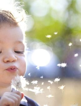 Traumhafte Lage: 4 Grundstücke in Meckenheim - Ihre letzte Chance! - Meckenheim