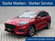 Ford Kuga, 4.9 ST-Line X # # #, Jahr 2024 - Weiden (Oberpfalz)