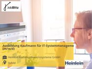 Ausbildung Kaufmann für IT-Systemmanagement (m/w/d) - Ilsfeld