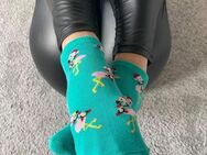 Suche alles außer weiße und schwarze Socken - Frankfurt (Main)