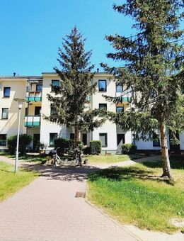 Stiftung Staßfurter Waisenhaus - Barrierefreie Zwei-Raum-Wohnungen zu vermieten! - Staßfurt