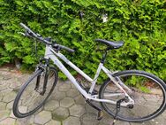 Focus Crossbike , Damenrad - Blomberg Cappel