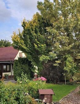 DHH im Süden der Kreisstadt - Luckenwalde