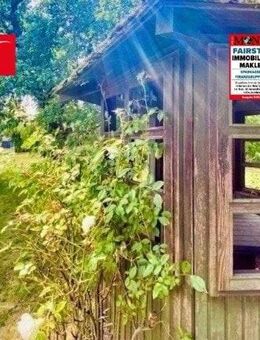 Eine kleine Oase mitten in Düren-Birkesdorf - Düren