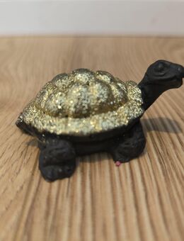 Schildkröte aus Lavagestein - Berlin