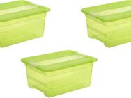 keeeper Organizer cornelia (Set, 3 St), Aufbewahrungsbox, 12 L, mit Deckel, Schiebeverschluss