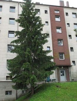 Renovierte 3 - Zimmer Wohnung in Uninähe! - Passau