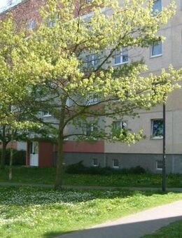 Nette Nachbarn für 3-Rwg. in der 4. Etage mit Balkon gesucht - Neubrandenburg