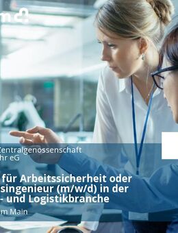Fachkraft für Arbeitssicherheit oder Sicherheitsingenieur (m/w/d) in der Transport- und Logistikbranche - Frankfurt (Main)
