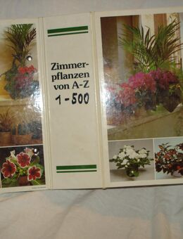 Zimmerpflanzen von A-Z Ringbuch - Friedrichsdorf